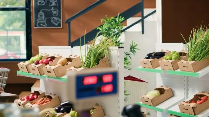 1 Is Sustainable Grocery the Future of Retail